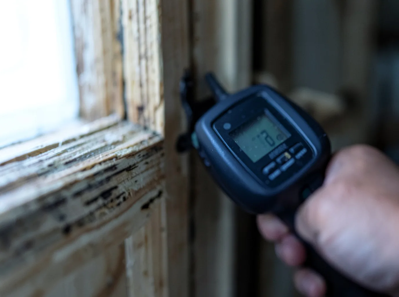 Moisture Inspection And Documentation in Vanderbilt, TX